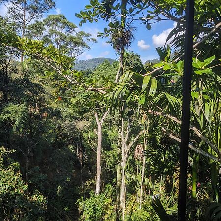 Ella Jungle Inn Homestay And Tree House ภายนอก รูปภาพ