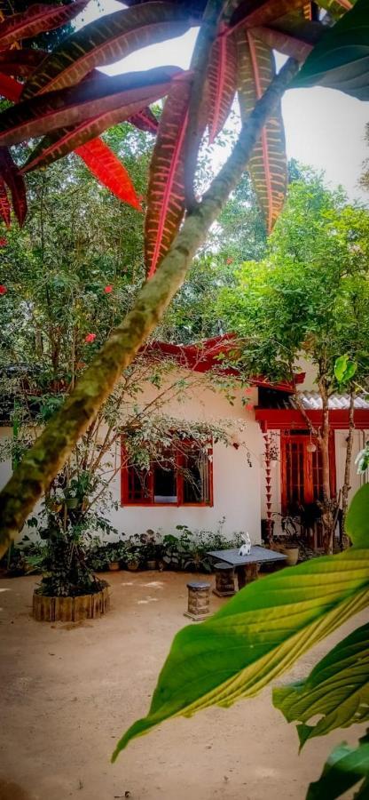 Ella Jungle Inn Homestay And Tree House ภายนอก รูปภาพ