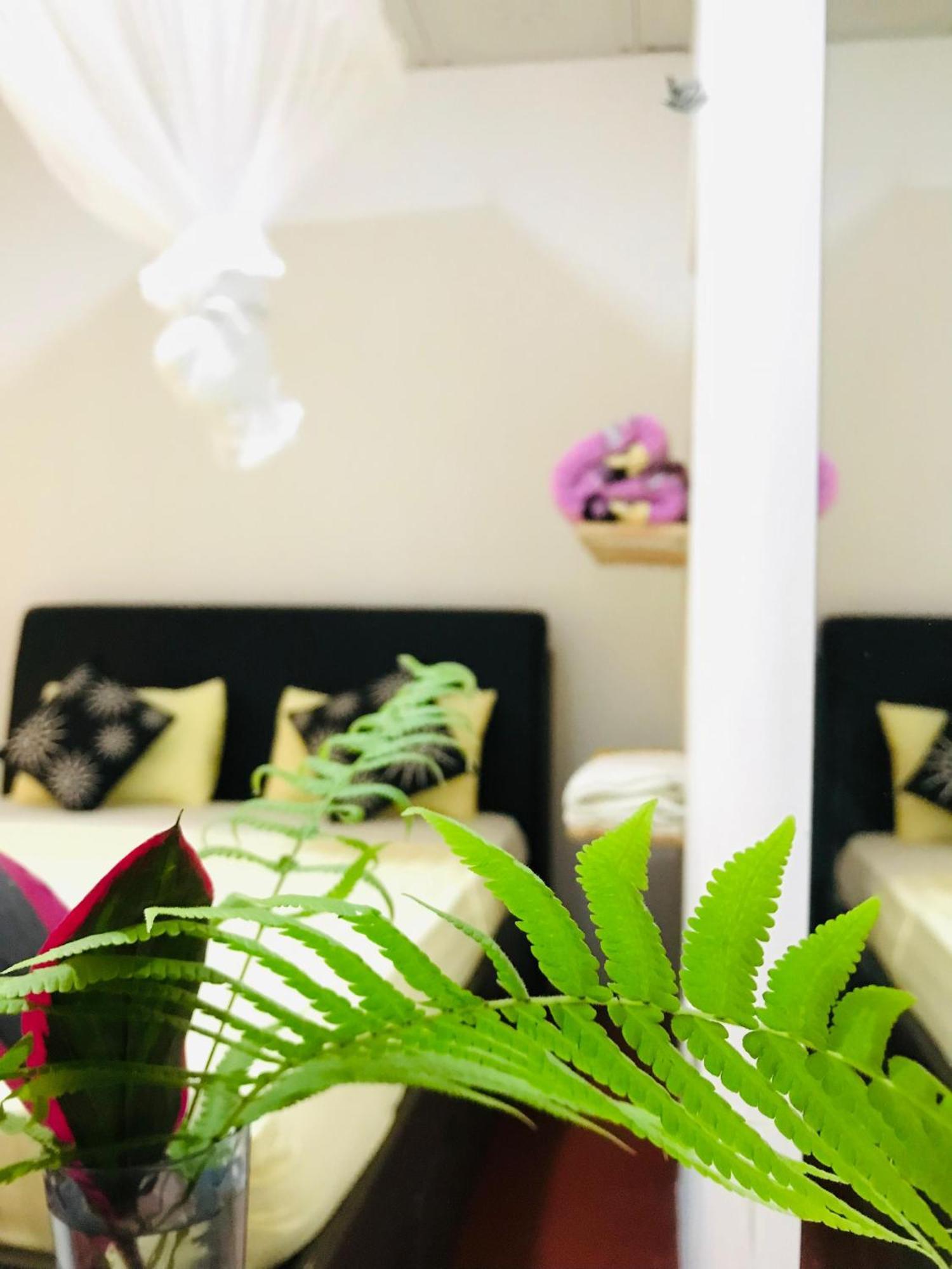 Ella Jungle Inn Homestay And Tree House ภายนอก รูปภาพ