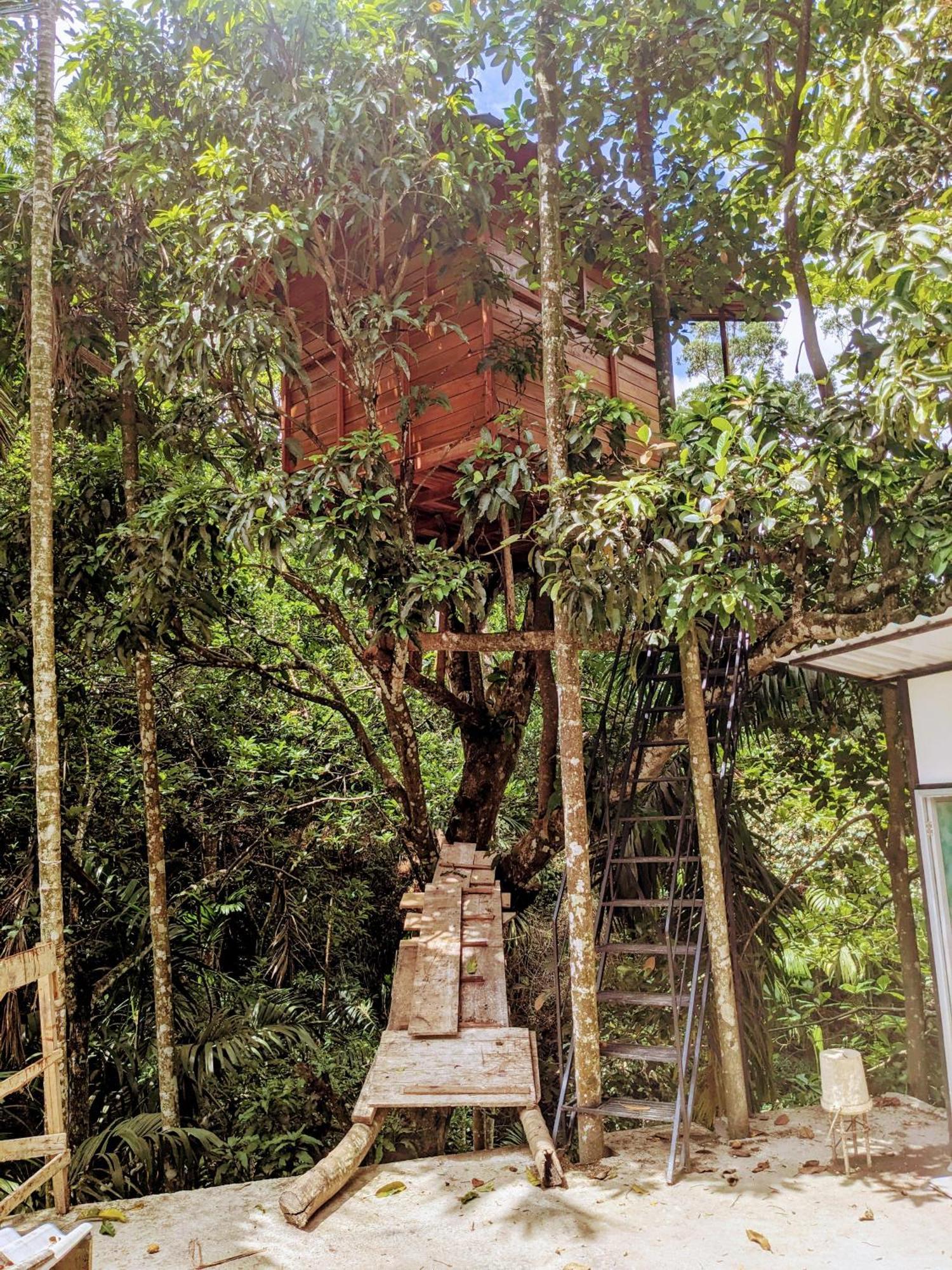 Ella Jungle Inn Homestay And Tree House ภายนอก รูปภาพ