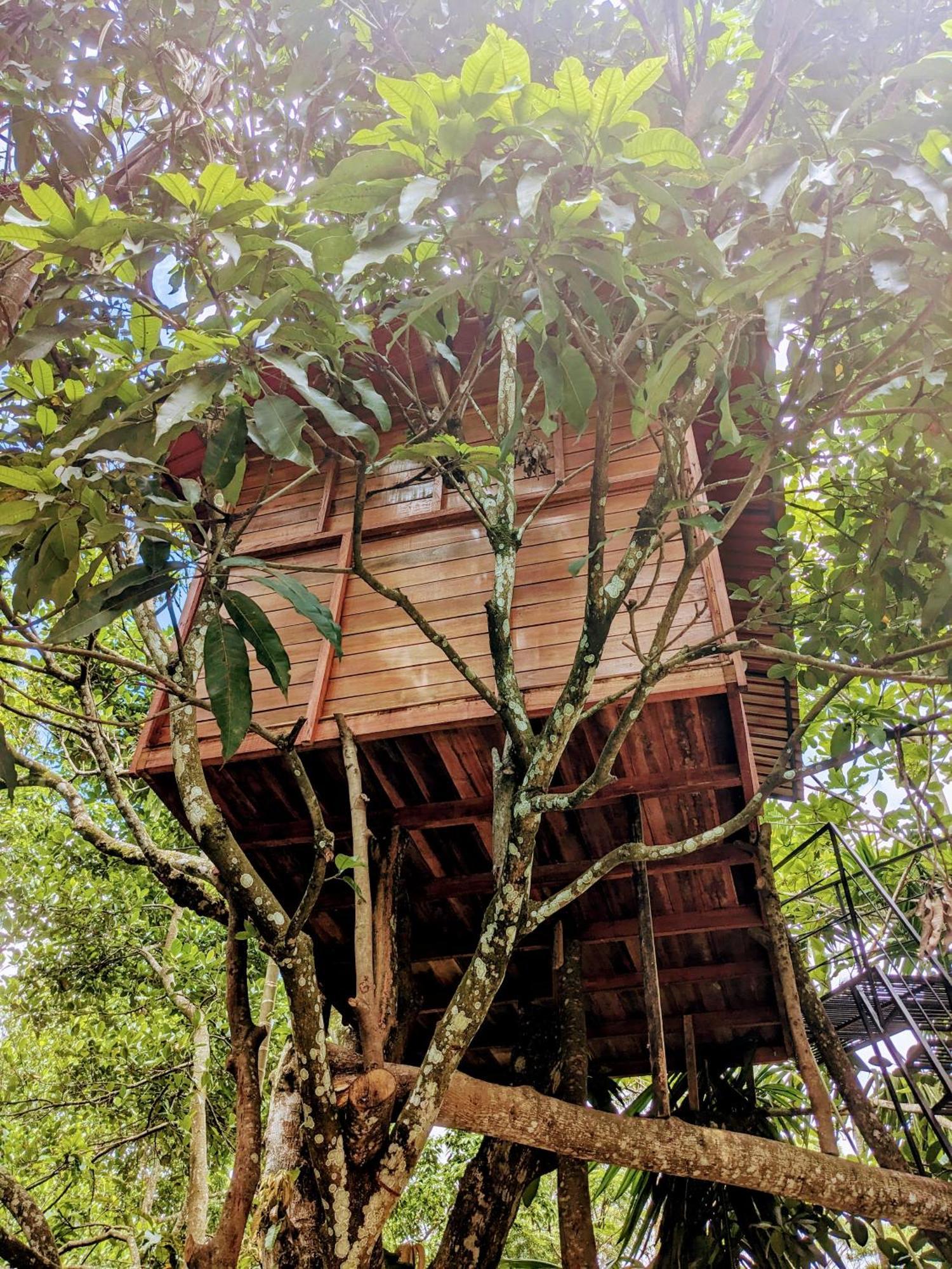 Ella Jungle Inn Homestay And Tree House ภายนอก รูปภาพ