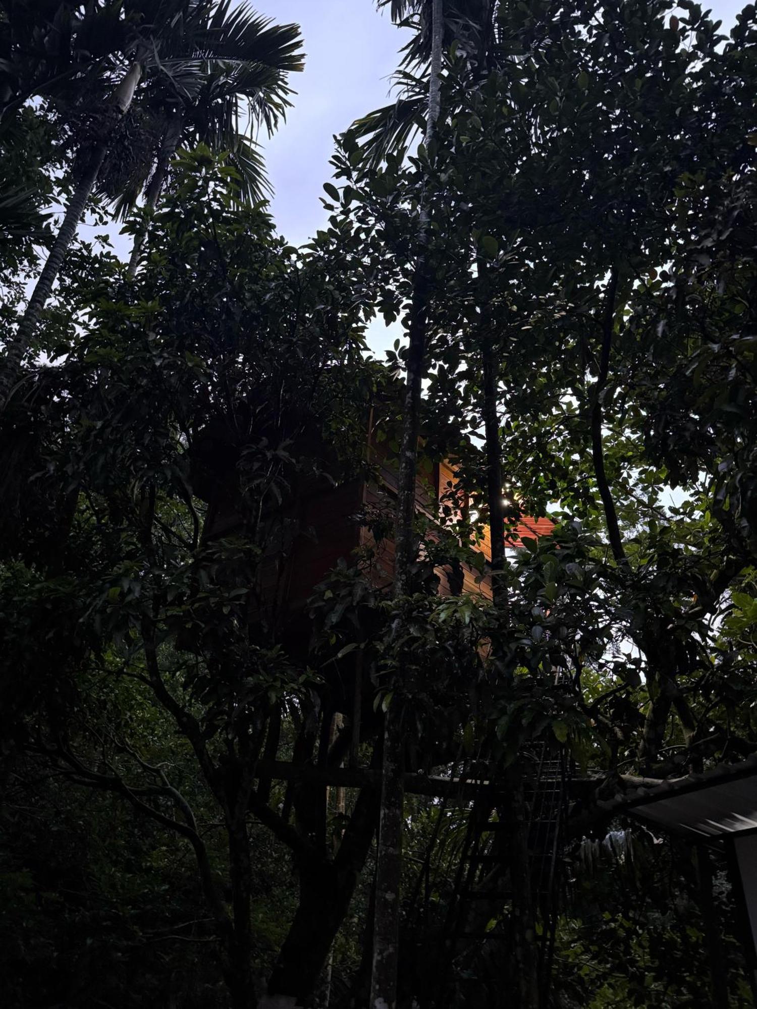 Ella Jungle Inn Homestay And Tree House ภายนอก รูปภาพ