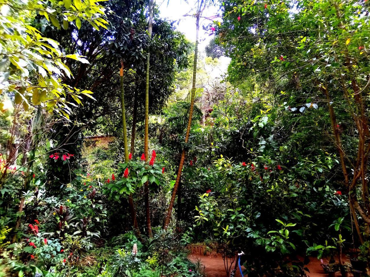 Ella Jungle Inn Homestay And Tree House ภายนอก รูปภาพ