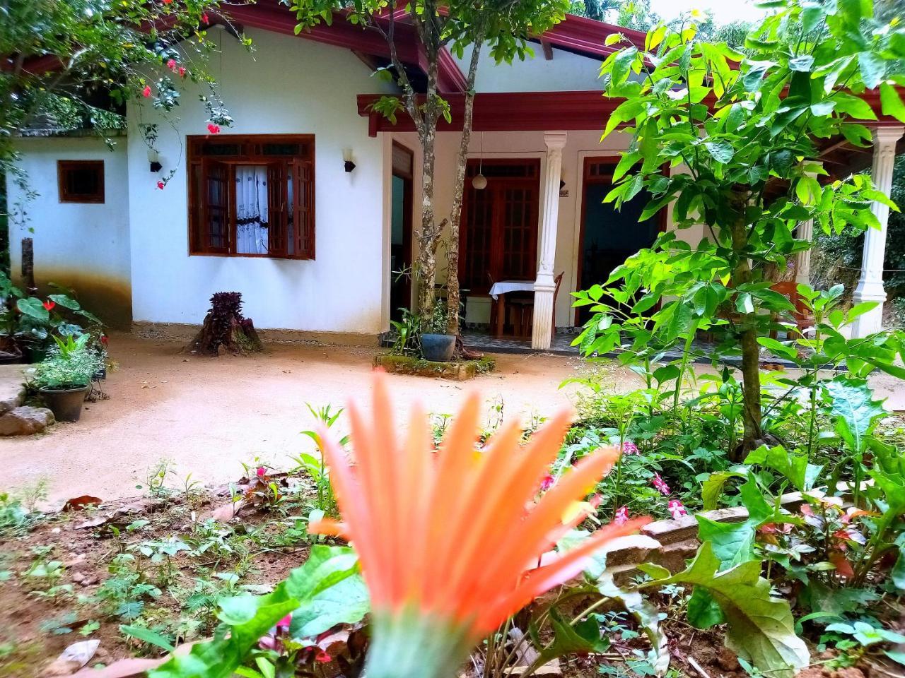 Ella Jungle Inn Homestay And Tree House ภายนอก รูปภาพ