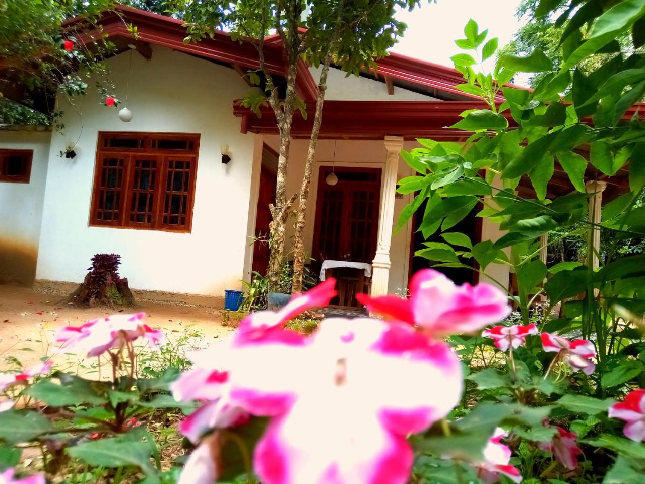 Ella Jungle Inn Homestay And Tree House ภายนอก รูปภาพ