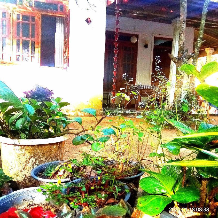 Ella Jungle Inn Homestay And Tree House ภายนอก รูปภาพ